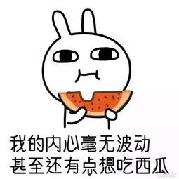 讲解感情吃瓜,揭秘娱乐圈甜蜜与苦涩的幕后故事