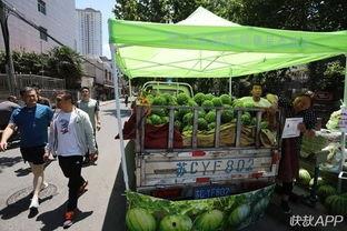 徐州龙湖吃瓜群众,吃瓜群众的夏日狂欢现场