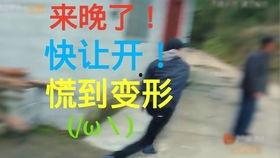 快乐吃瓜小剧场,趣味横生的娱乐圈幕后故事