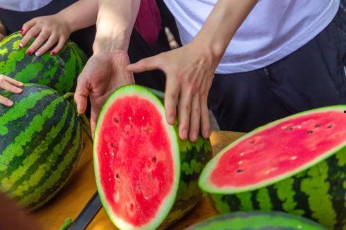 河南大学吃瓜,吃瓜群众的味蕾盛宴